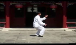 陈氏太极拳24式教学视频,入门必看，掌握经典套路